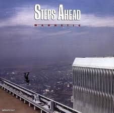 Step Ahead Magnetic Vinyl (image 1)