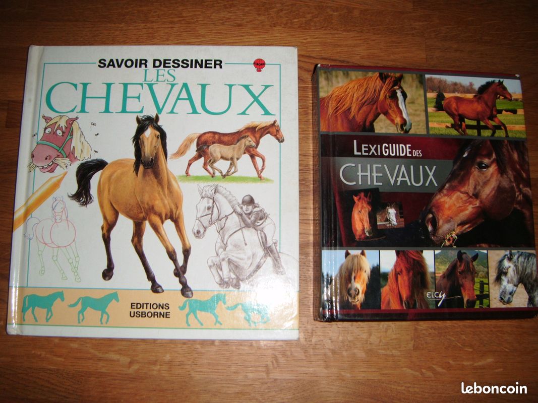 Choisir son chien (image 6)