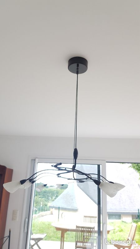Superbe lustre en fer forgé (image 3)