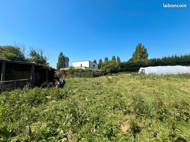 Terrain 1207 m² DOUVRES LA DELIVRANDE