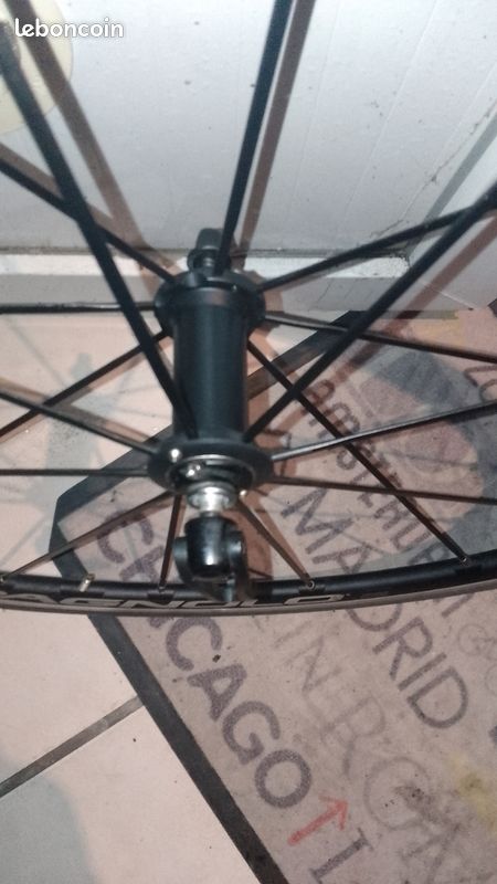 Rayon Campagnolo Eurus L 278.5 Mm Avec Mamelon - Neuf, Profil Aérodynamique