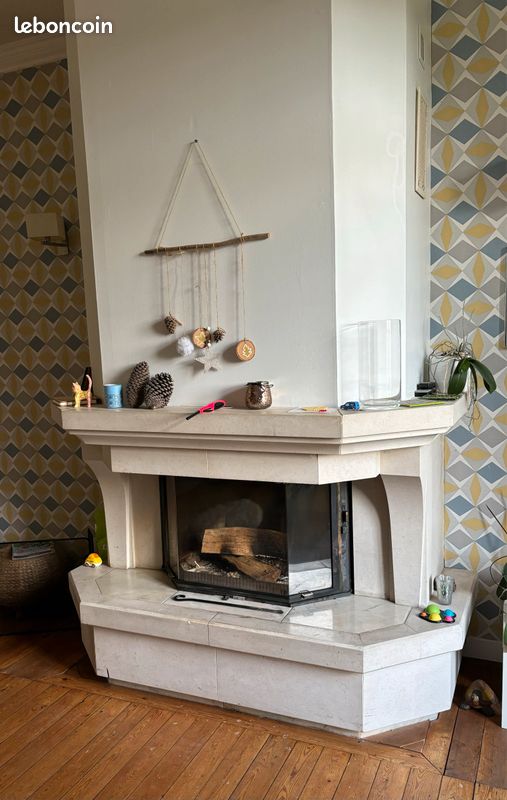 Cheminée et insert (image 1)