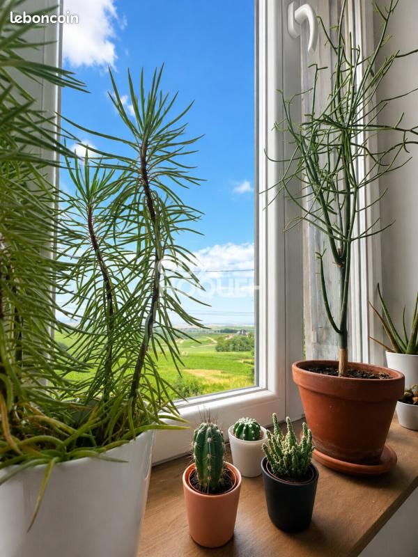Appartement 2 pièces 50 m² · à Rilly-la-Montagne · 50 m² · 168 500 €