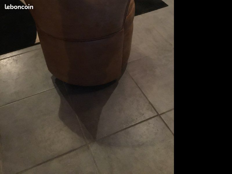Petit Fauteuil en cuir fauve (image 2)