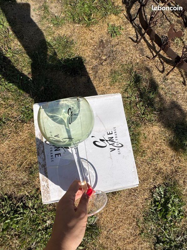 Verre en plastique Gvine (image 1)