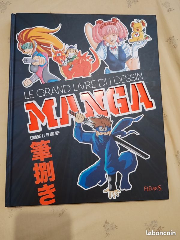 Livre dessin manga (image 1)