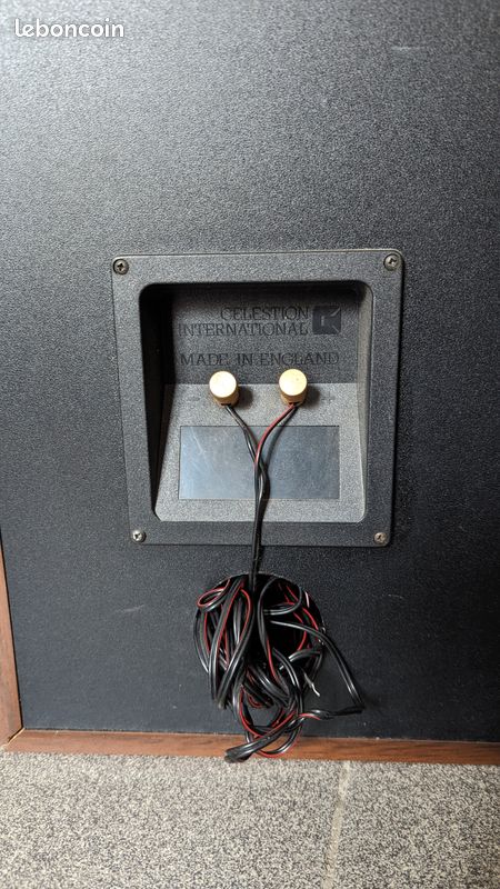Enceintes vintage DITTON DUO CELESTION (image 5)