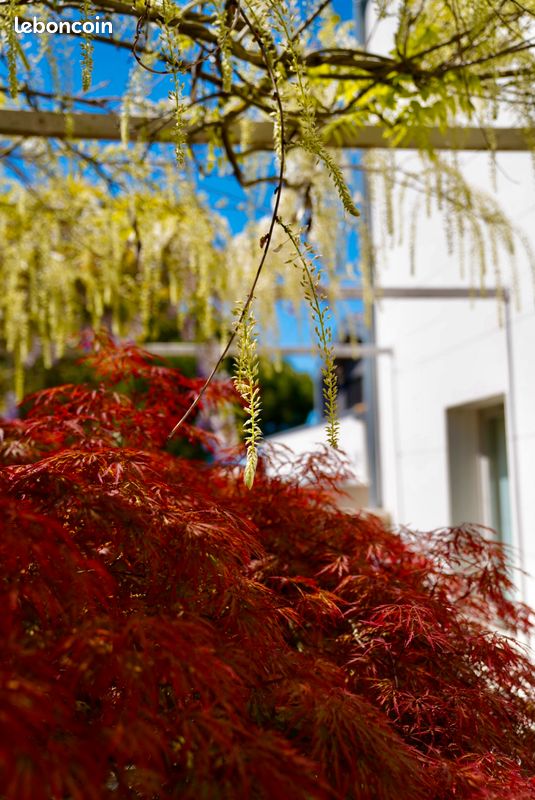 Maison 7 pièces 330 m² · à Marsilly · 330 m² · 1 290 000 €