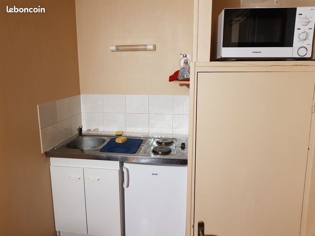 Location gîte meublé studio proche centrale Belleville sur Loire (image 6)