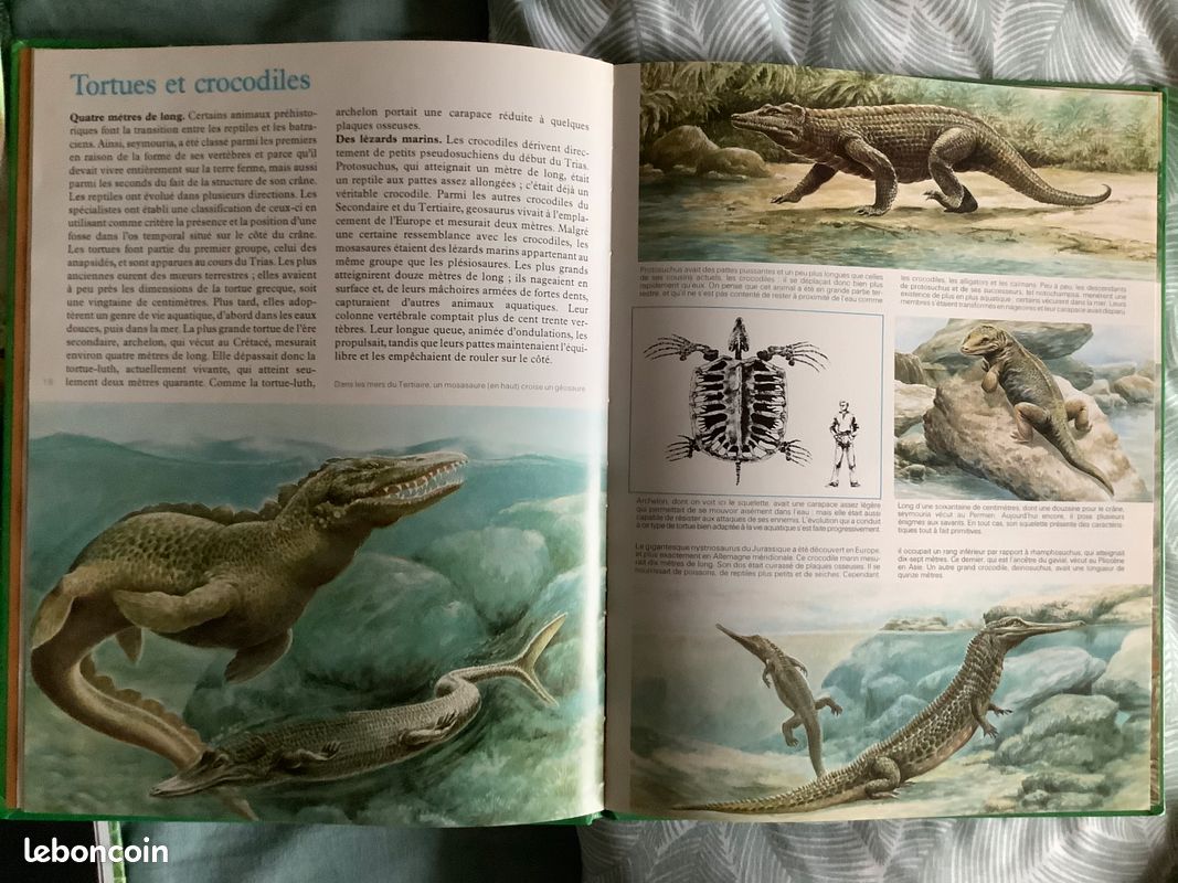 Livres sur les animaux, les dinosaures et le corps humain (image 14)