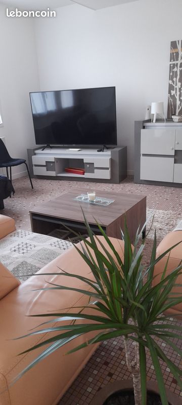 Location appartement meublée (image 3)