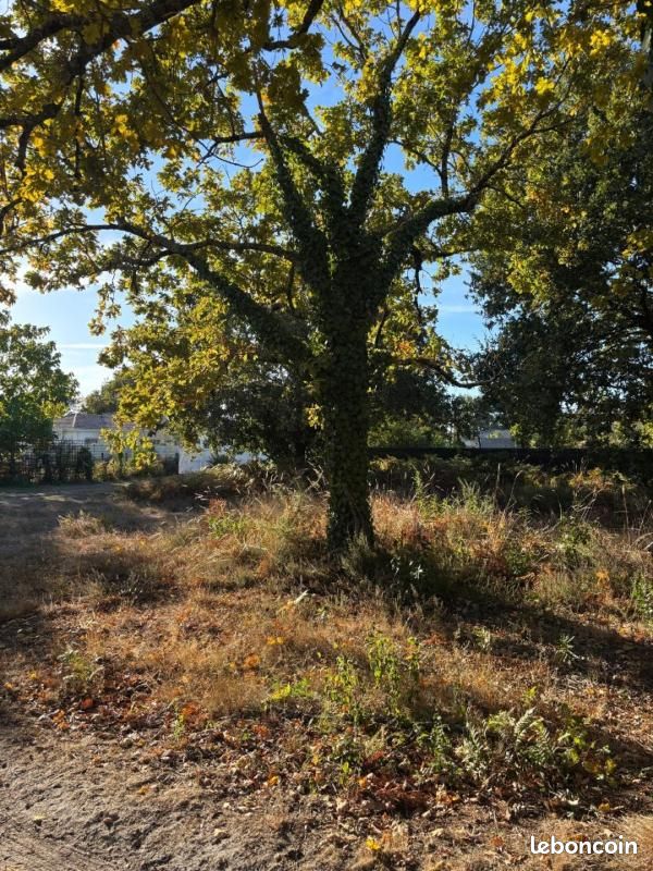 Terrain 395 m² · à Lanton · 330 000 €