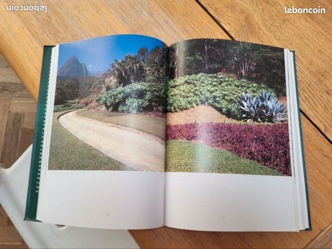 Modernidade Verde jardins de Burle Marx (image 4)