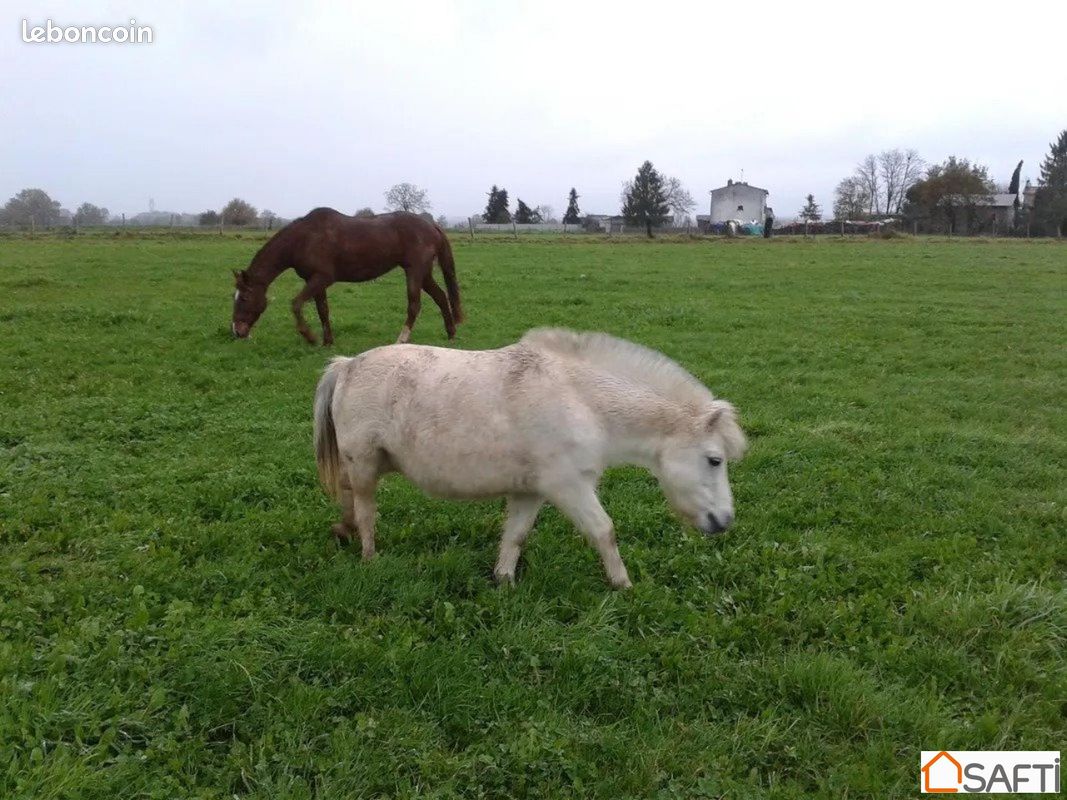 Propriété 6 pièces 186 m² - Assais-les-Jumeaux 79600 (image principale 5)