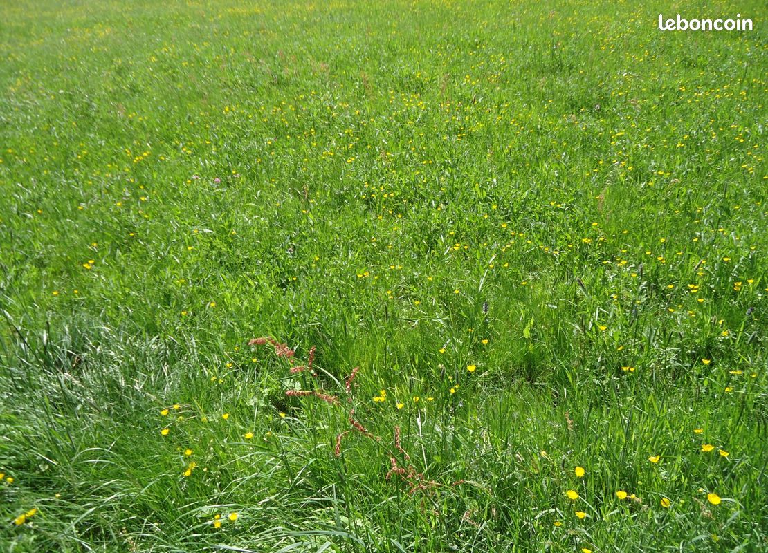 Terrain de 1080 m2 entre Mulhouse et Belfort · à Angeot · 49 000 €