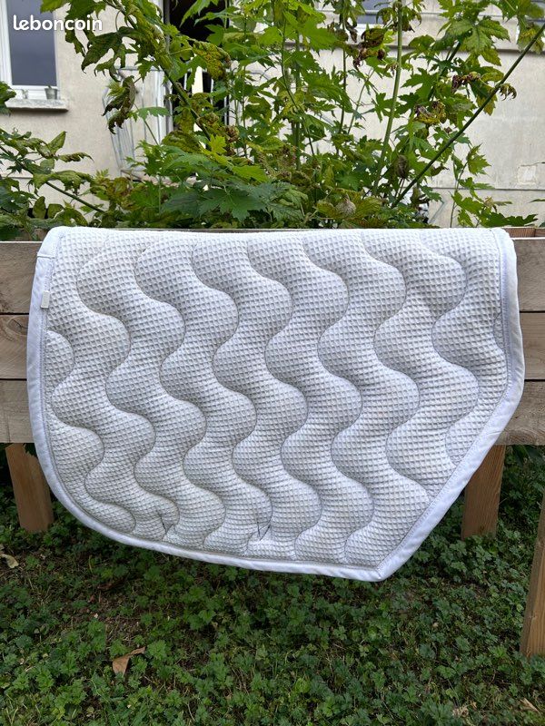 Tapis de cheval Penelope leprevost vert (image 2)