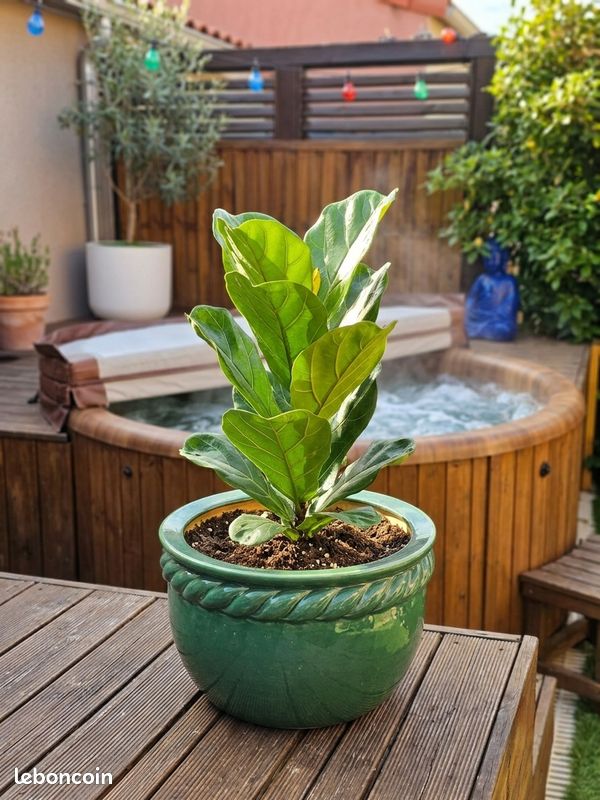 Grand cache-pot en céramique émaillée verte, diamètre 36,5 cm (image 1)