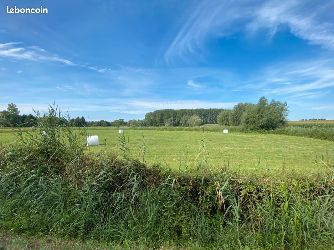 Prairie à VENDRE Aire sur la LYS 7000 m2 Libre d'occupation · à Aire-sur-la-Lys · 45 000 €
