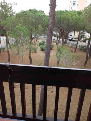 Appartement F2 à Argelès-plage de septembre à juin (image 1)