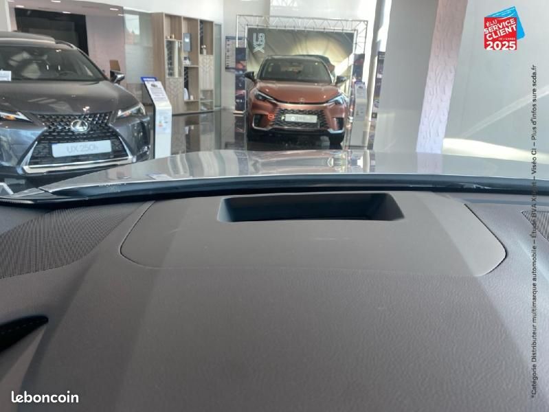 Lexus RX 450h+ Luxe 4WD MY24 (image 28)