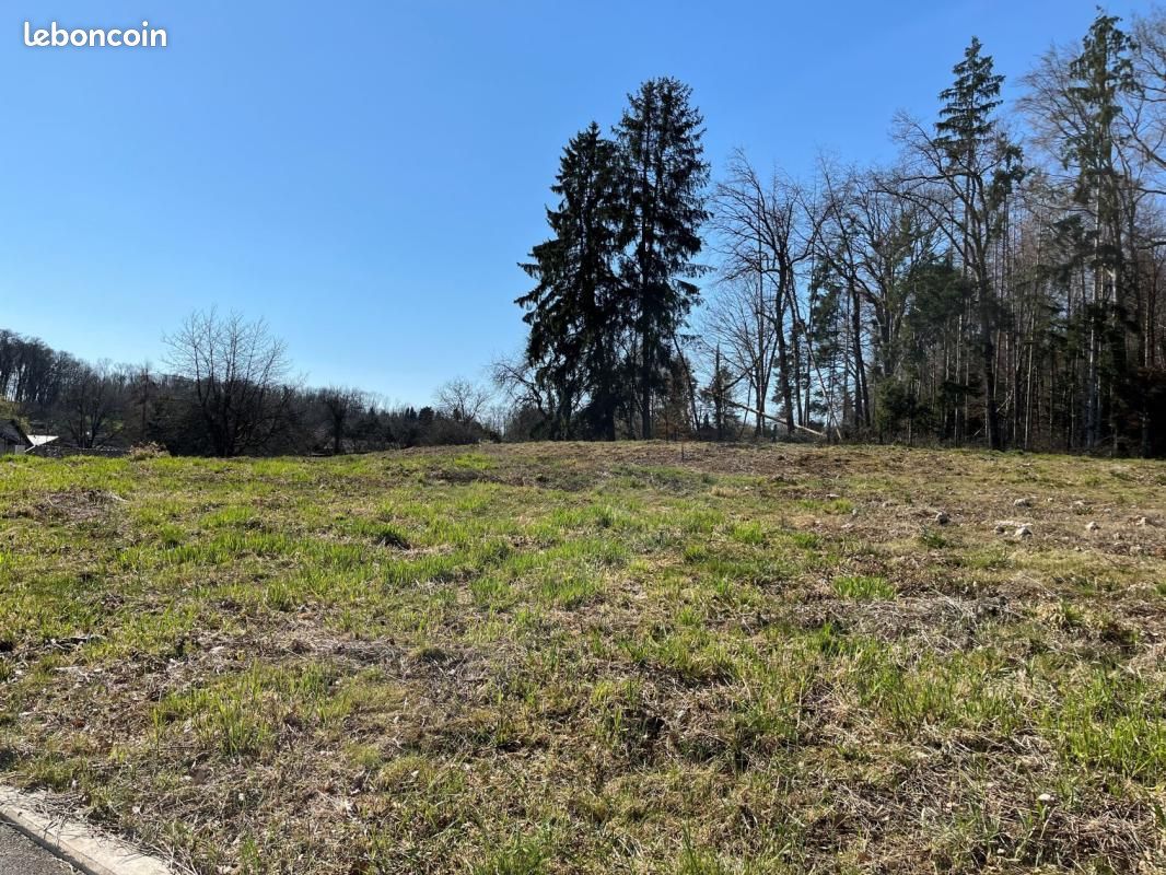 Terrain 613 m² Pfetterhouse · 64 365 €