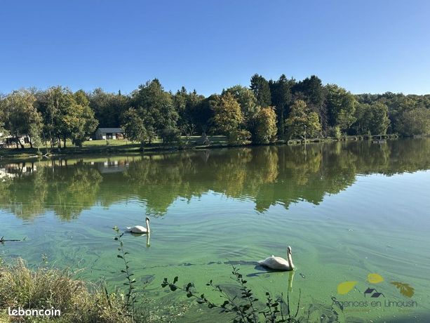 Propriété 5 pièces 172 m²