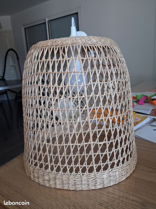 Suspension rotin (image 1)