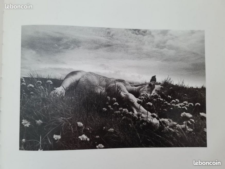 Livre d'Art, Édition collector, ouvrage photographique de Michelle Le Braz (image 1)