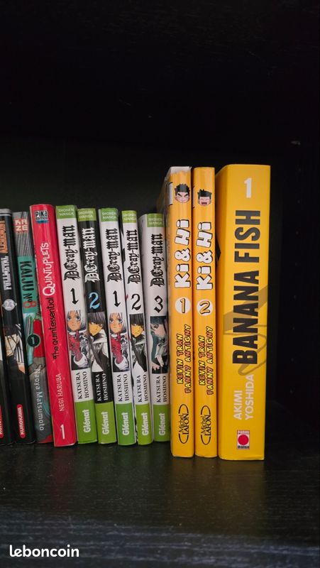 Mangas vrac unité ou lot (image 1)