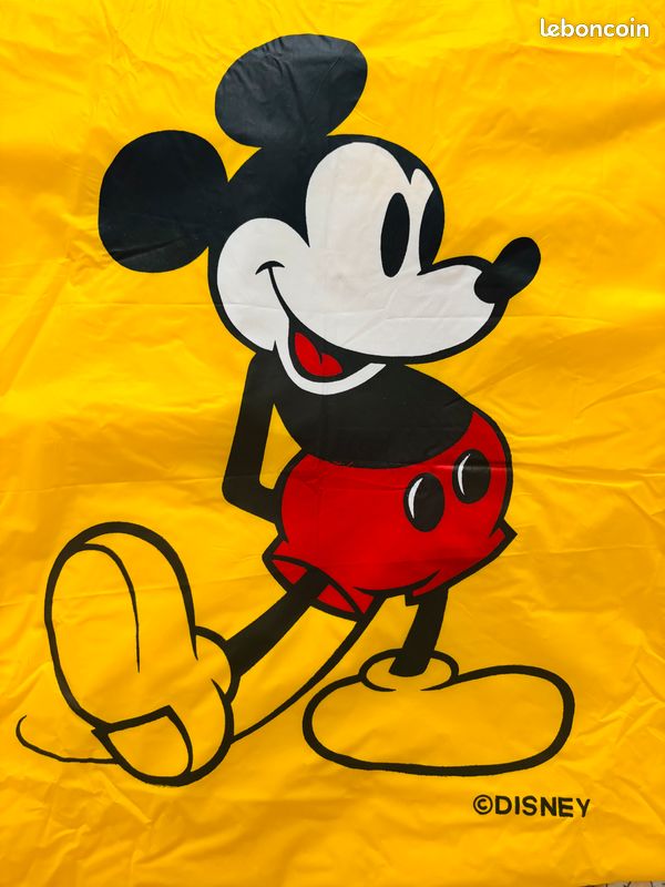 Poncho de pluie Disney adultes Vêtements - Main Image