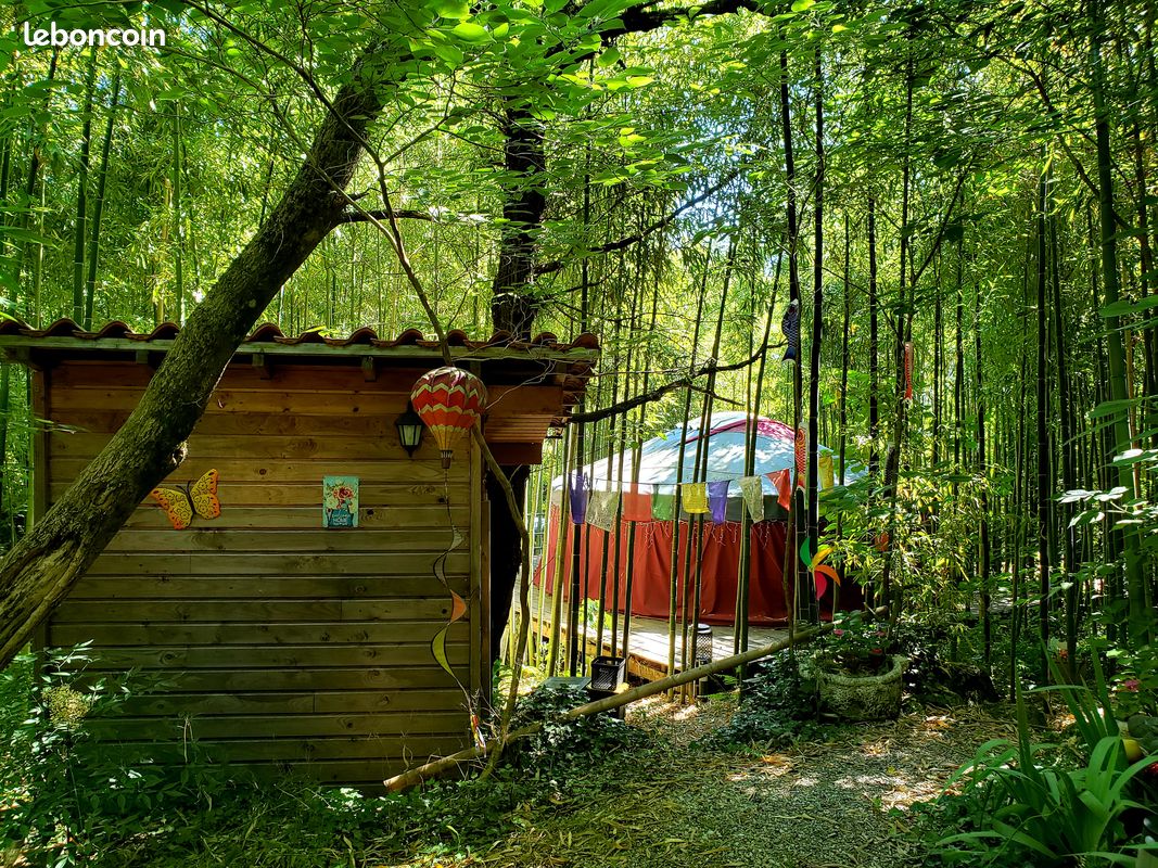La Yourte aux Bambous en Cévennes (image 13)