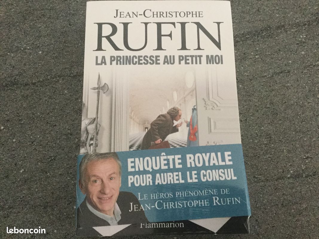 Roman jc rufin meilleure vente (image 1)