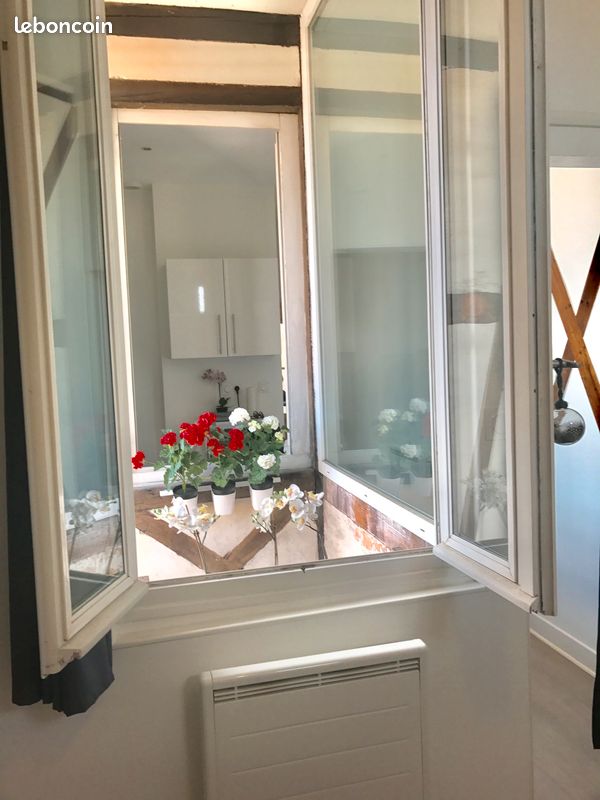 Studio tout confort hyper centre (image 4)