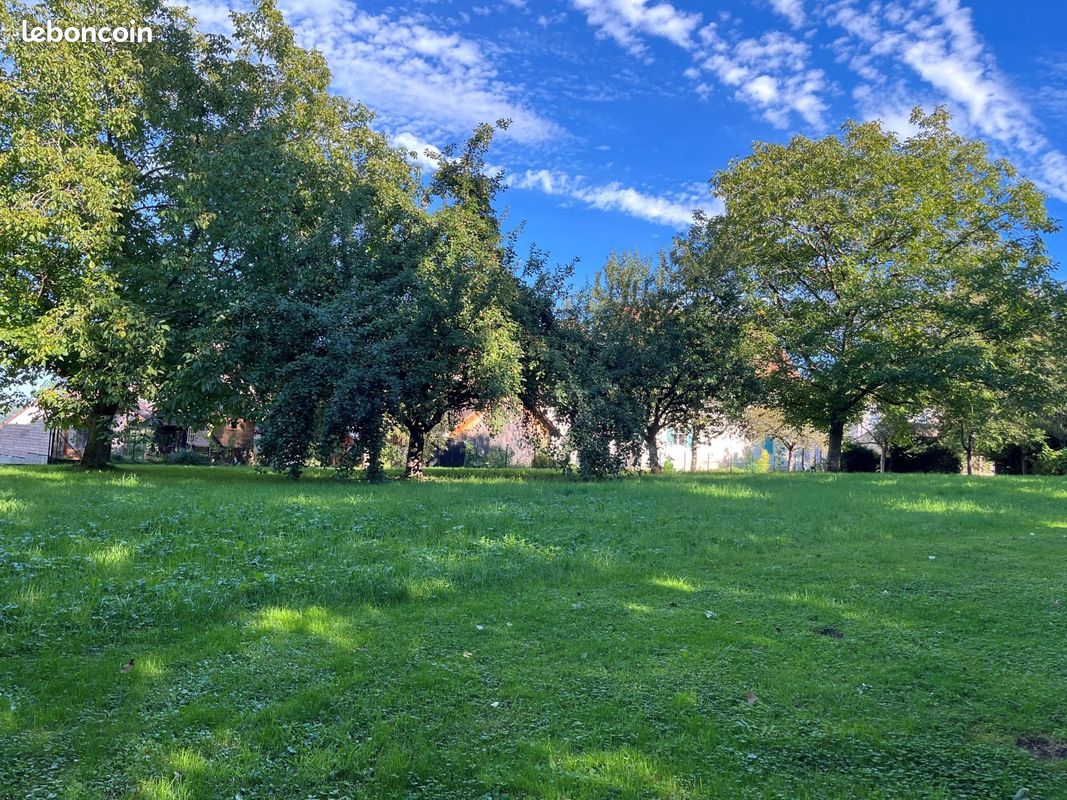 Terrain 1940 m² · à Bouxwiller · 155 200 €