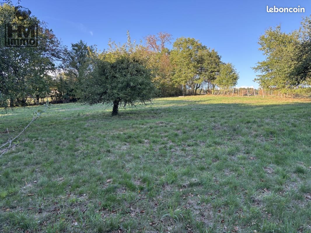 Terrain 3239 m² · à Feytiat · 12 500 €