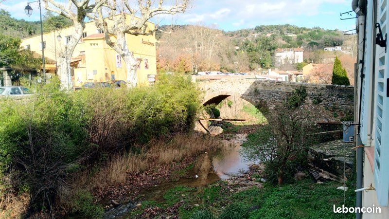 Bromes les mimosas à 30 minutes (image 1)