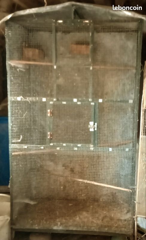 Cage à oiseaux (image 3)