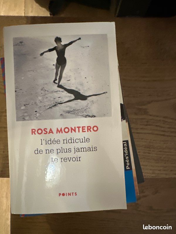 L’idée ridicule de ne plus jamais te revoir rosa Montero (image 1)