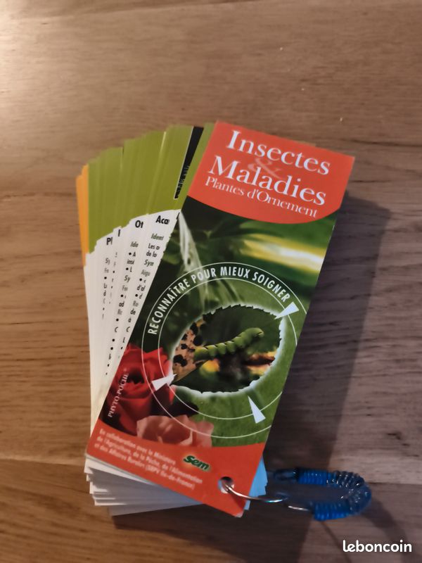 Insectes et maladies Plantes d'ornement (image 1)