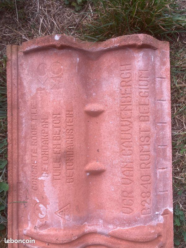 Tuile béton BetoPan (image 2)