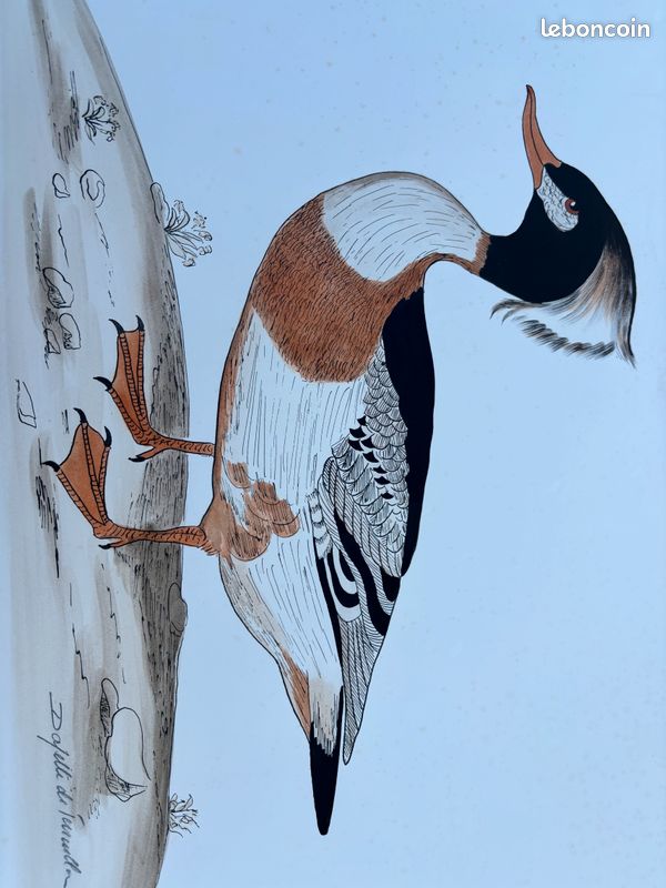 Aquarelle Dayelle De Terronblan - dessins de Monbaly (image 2)