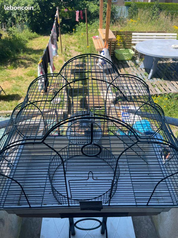 Cage hamster (image 3)
