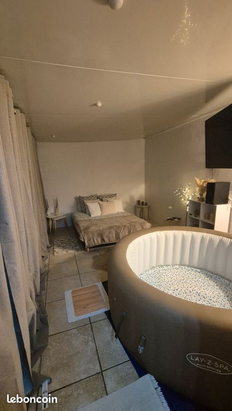 Appartement avec jacuzzi à 10 mins de Paris (image 1)