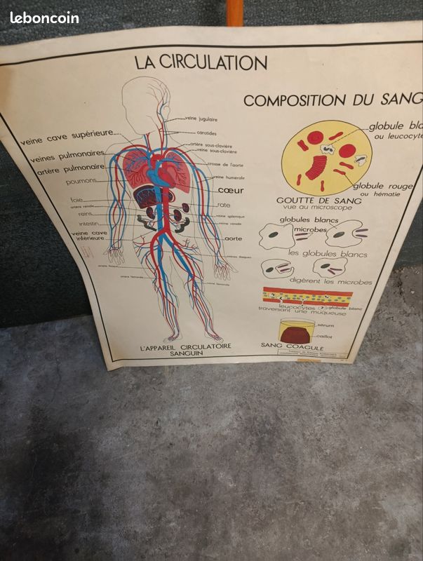 Armoire a cartes (image 3)