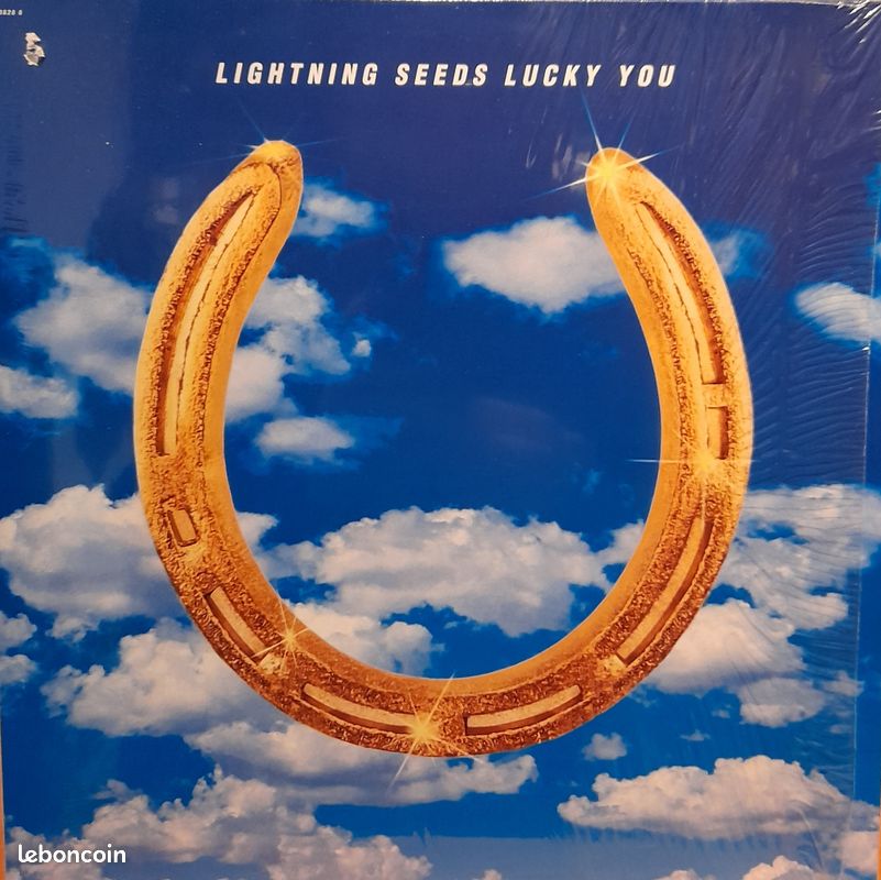 Lightning seeds - maxi 45t vinyle (image 1)