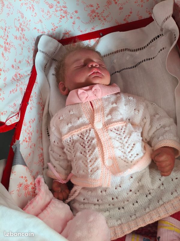 Landau plus bebe reborn Collection