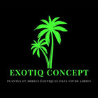 EXOTIQ CONCEPT