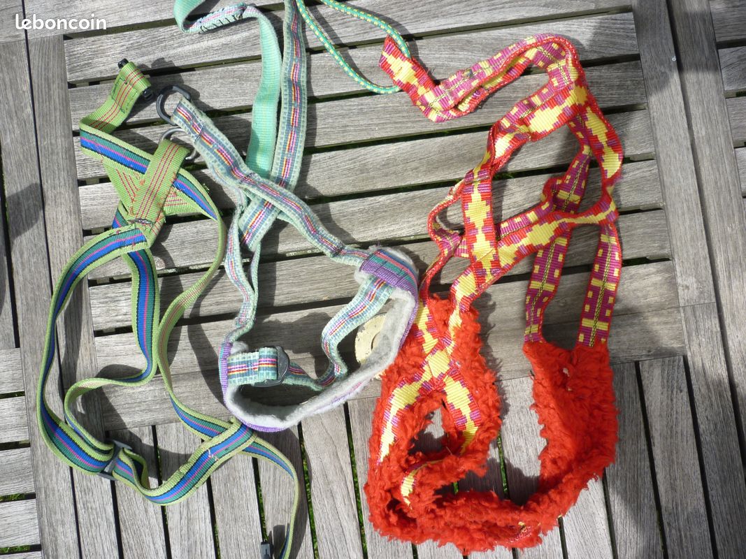 Ceinture pour CANICROSS + HARNAIS chien (image 3)