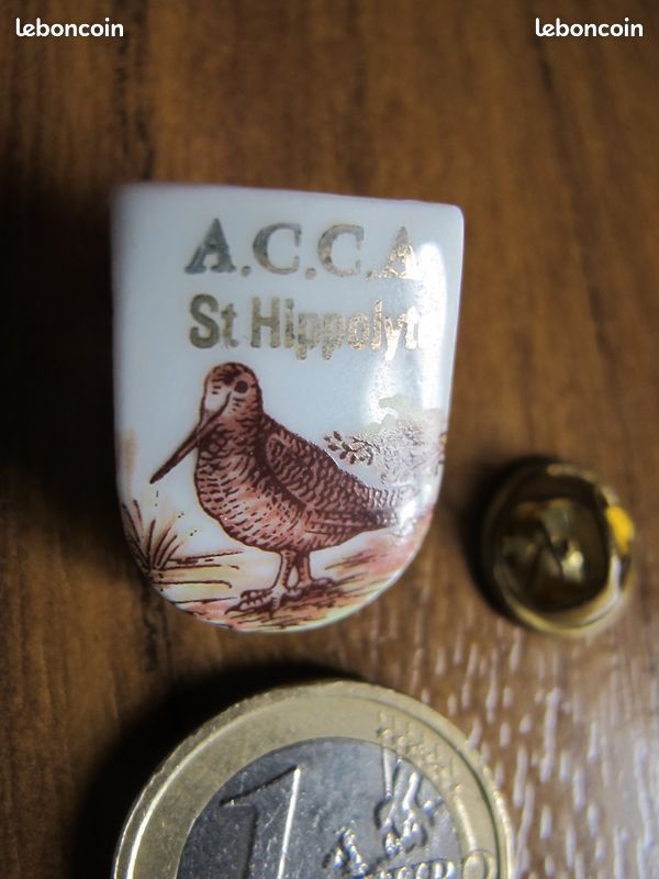 Pin's ACCA St Hyppolite Bécasse , prix livré en suivi , LIRE - Collection