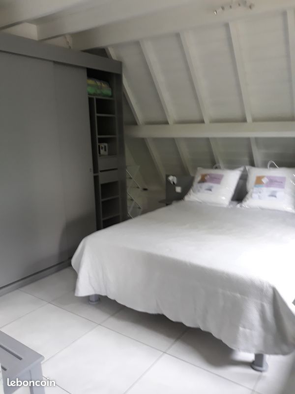 Chalet tillandsia (image 7)